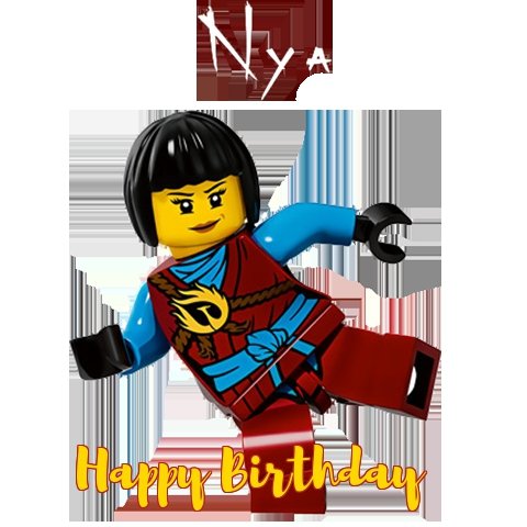ninja-go birthday