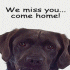 We Miss You