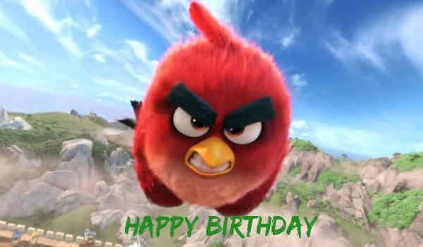 angry birds birthday cards