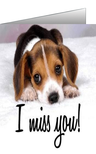 i miss you ecards