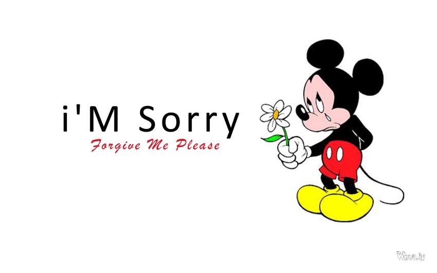 im sorry greeting cards birthday